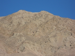 sinai copia